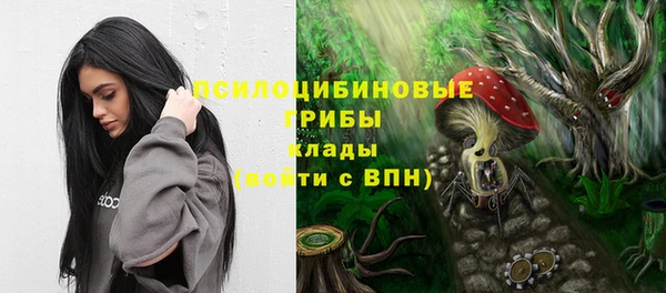 сатива Бугульма