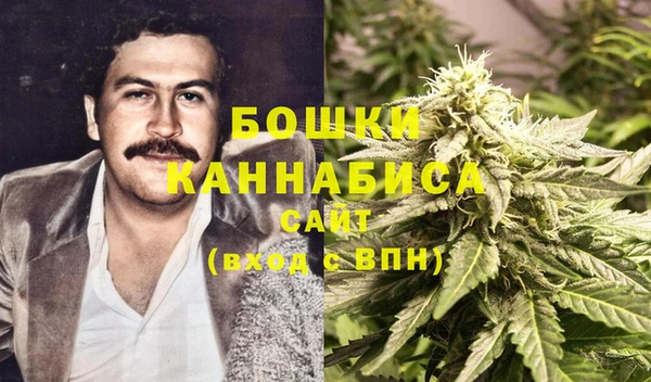 сатива Бугульма