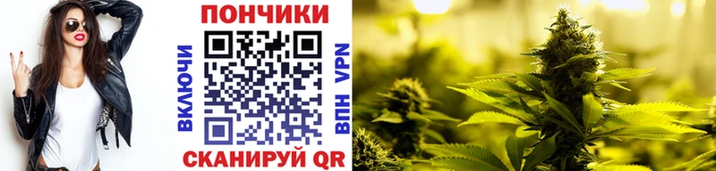 Купить  Нытва  Бошки Шишки планчик 